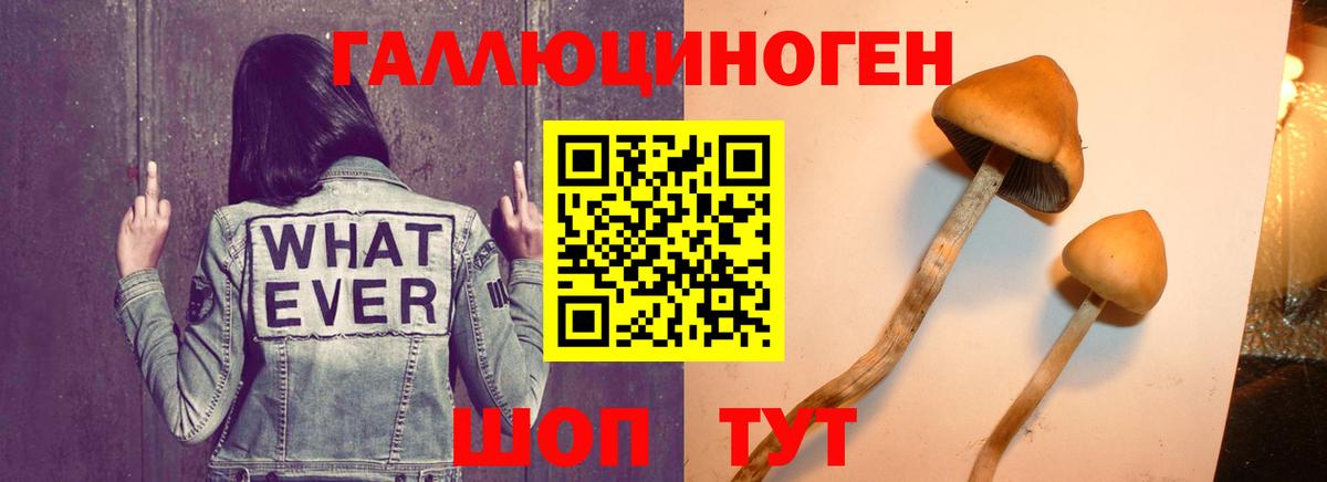 Псилоцибиновые грибы мухоморы  Галлюциногенные грибы Psilocybine cubensis  Вход с VPN  Кулебаки 